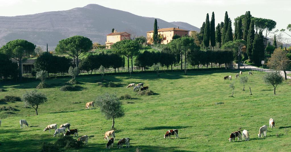 Poggiovalle Tenuta Italiana Belvedere  Exterior photo